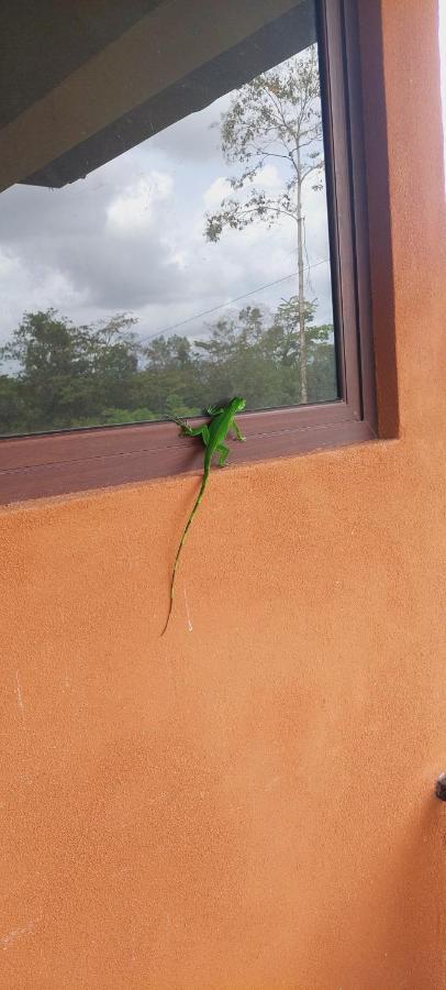 Green Leaf House La Fortuna Buitenkant foto